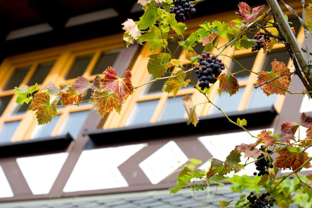Landgasthof Rebstock Sankt Goar Eksteriør billede